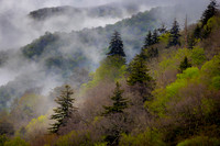 Tennessee