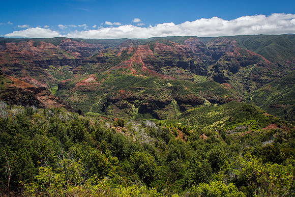 Waimea Canyon