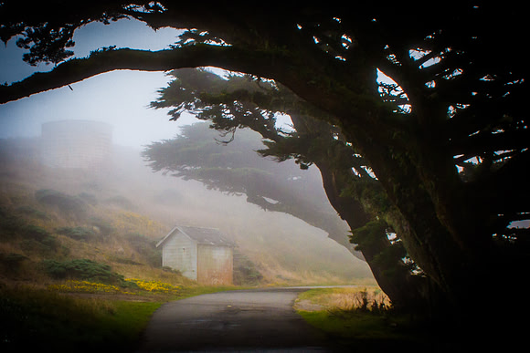 Point Reyes