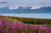 Homer and flight to Katmai Ntl Preserve