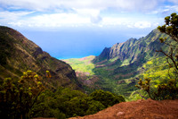 Waimea Valley